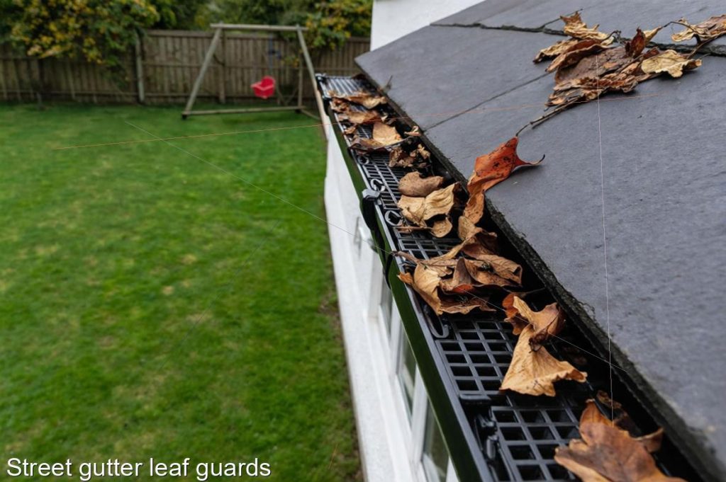 Street gutter leaf guards