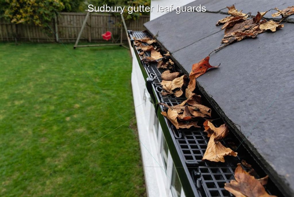 Sudbury gutter leaf guards