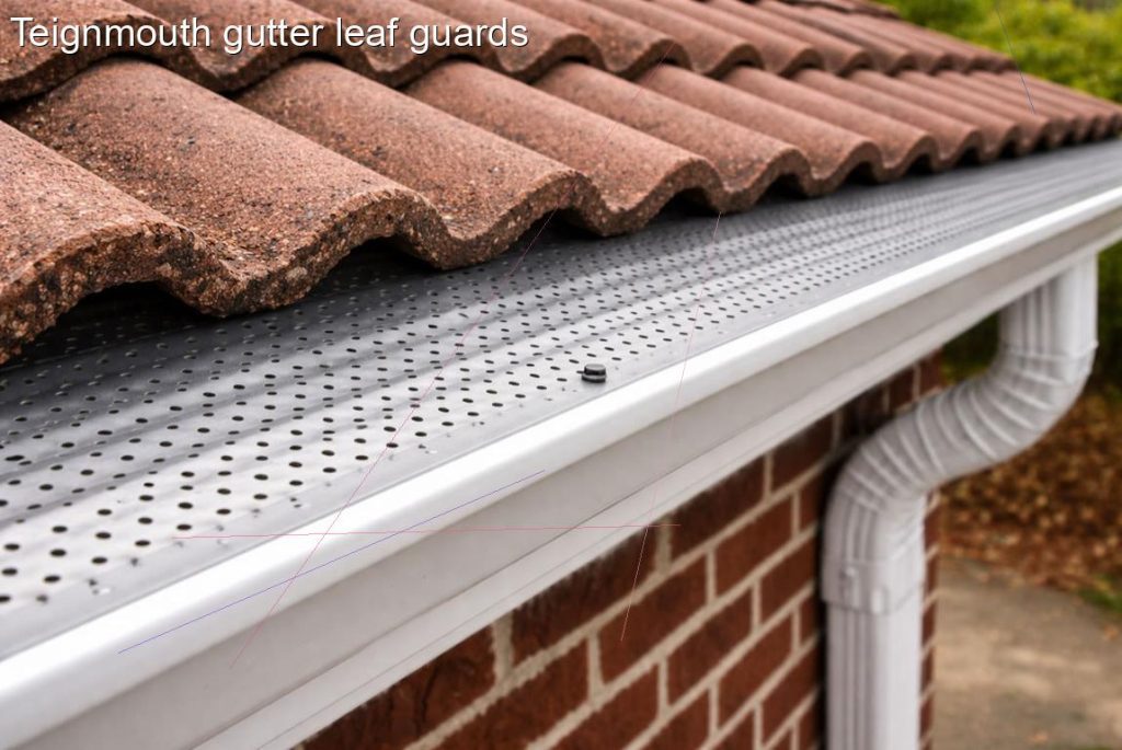 Teignmouth gutter leaf guards