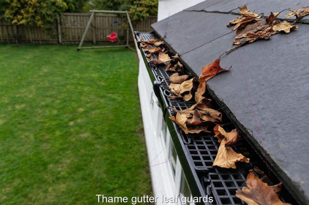 Thame gutter leaf guards