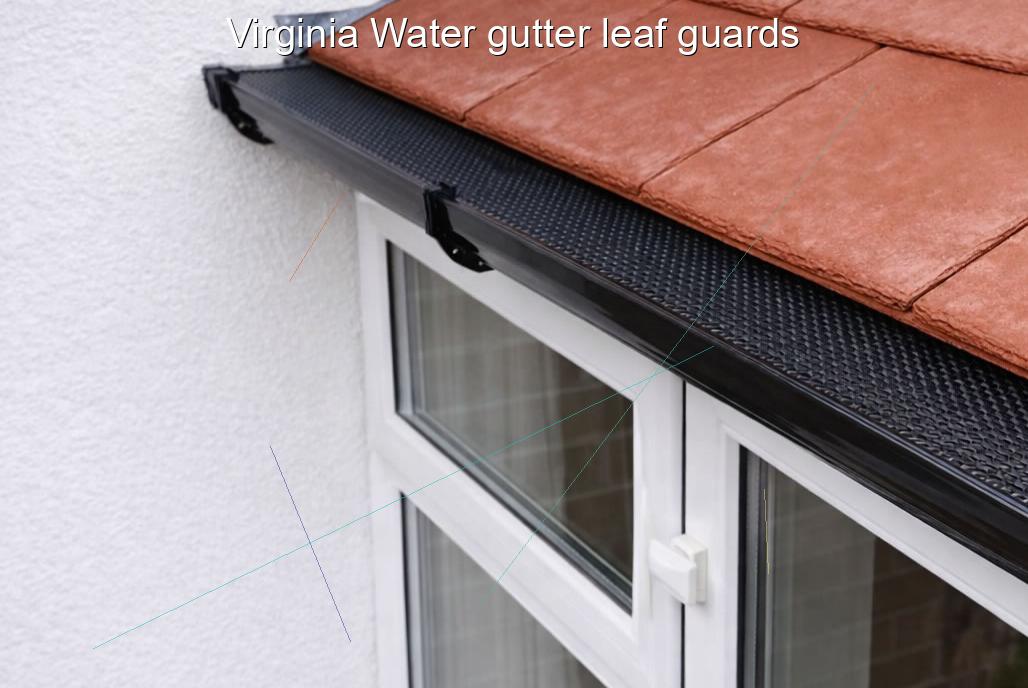 Virginia Water gutter leaf guards