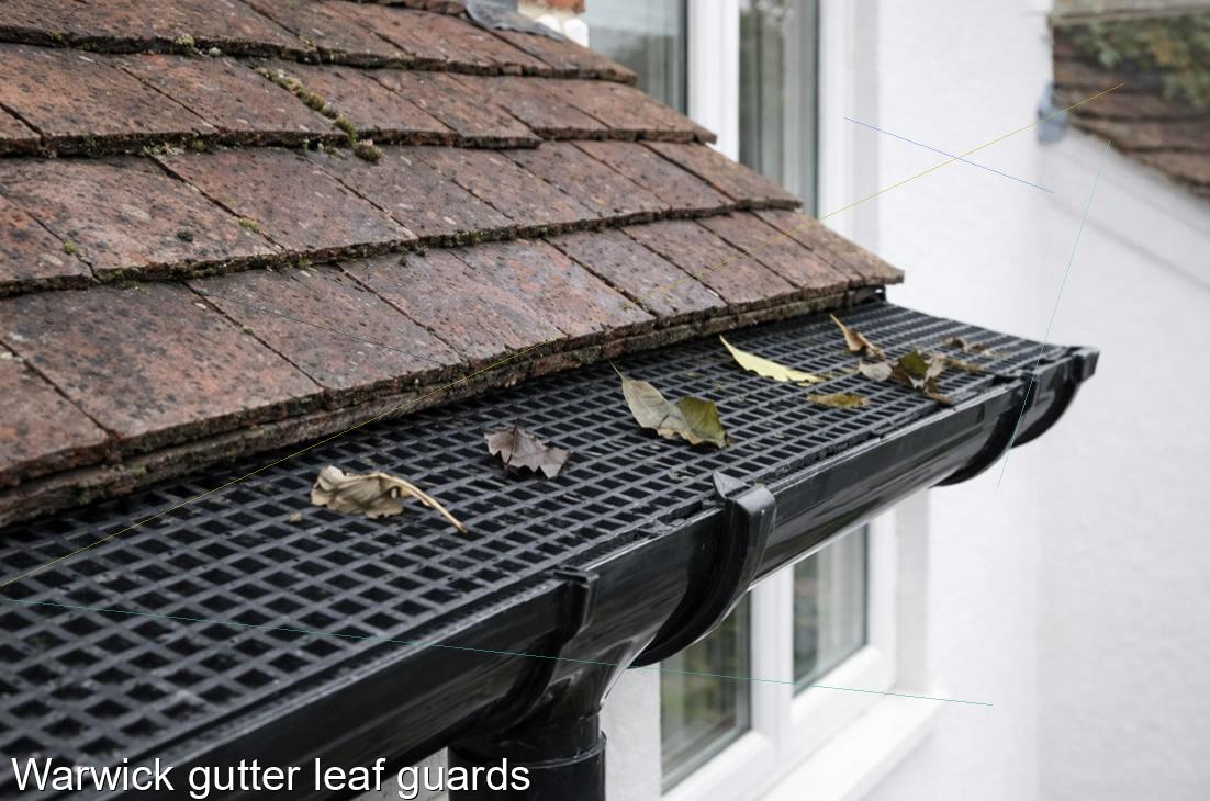 Warwick gutter leaf guards