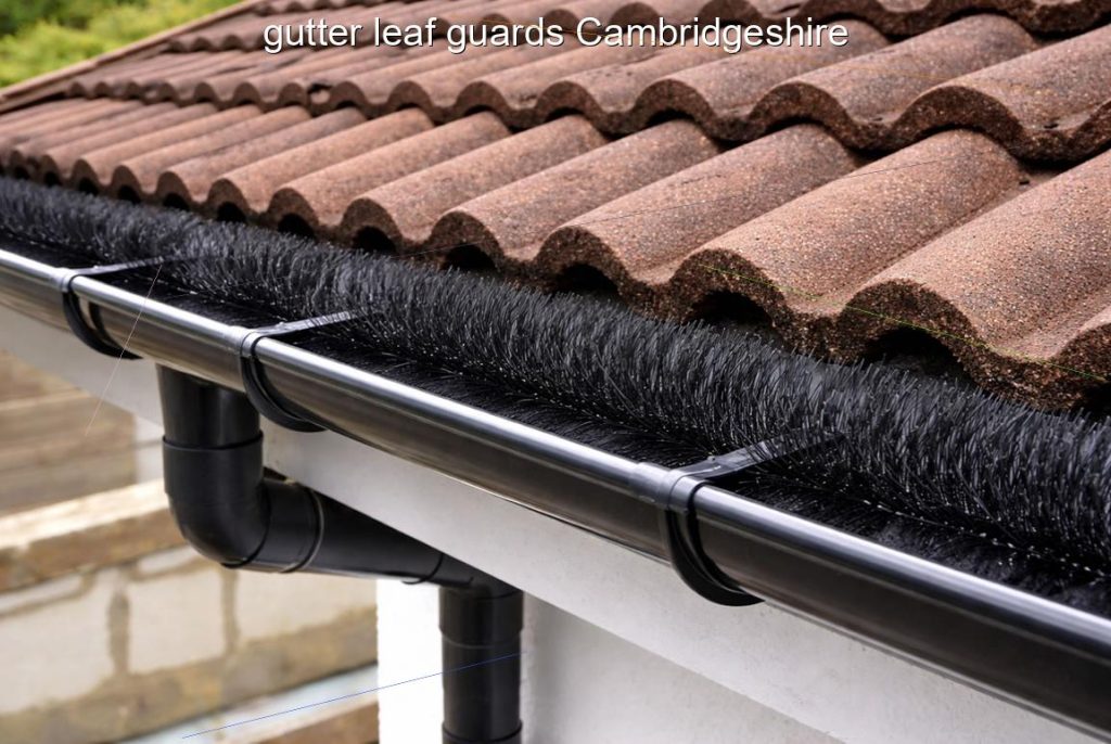 gutter leaf guards Cambridgeshire