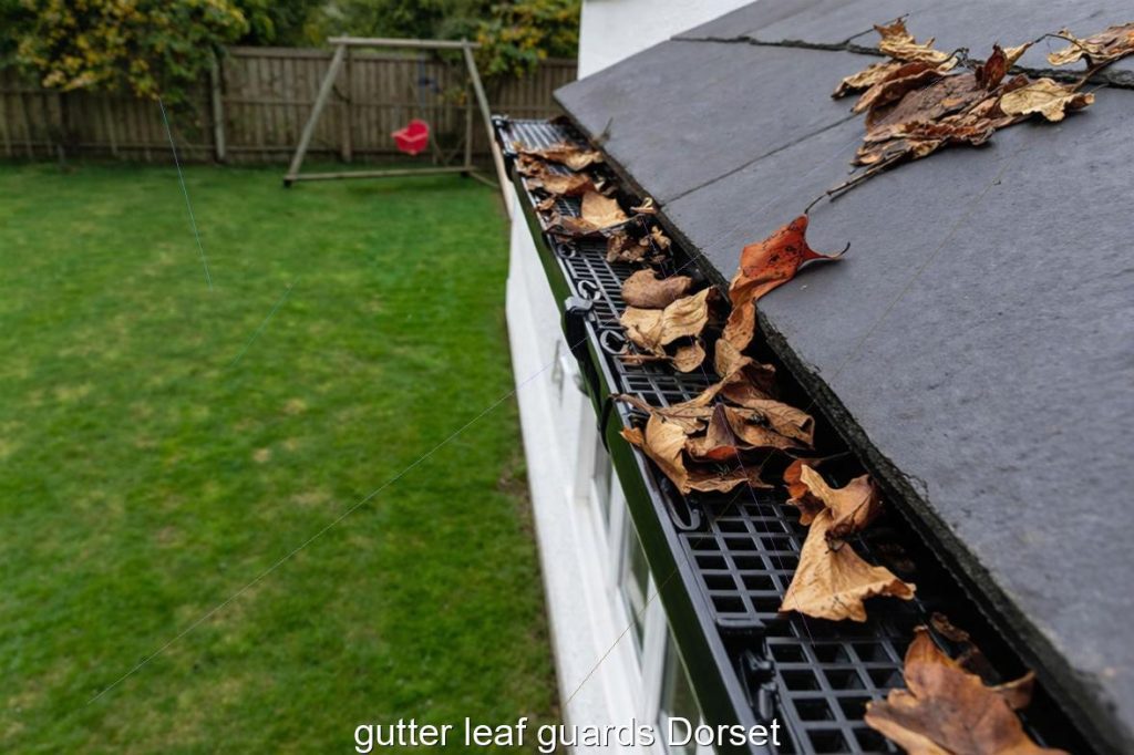 gutter leaf guards Dorset
