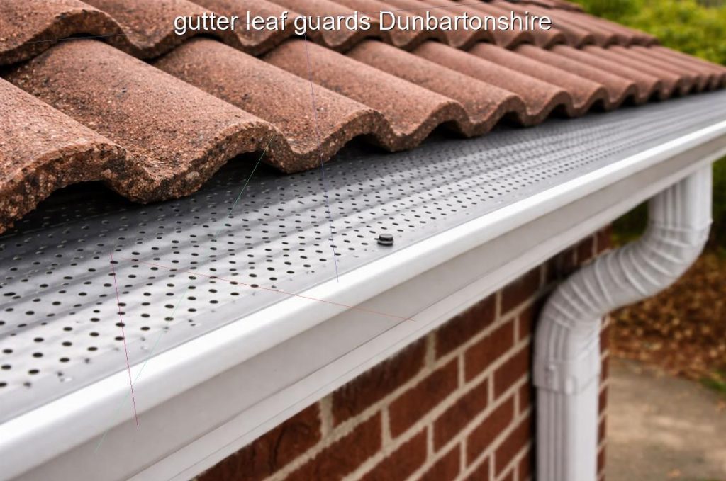 gutter leaf guards Dunbartonshire
