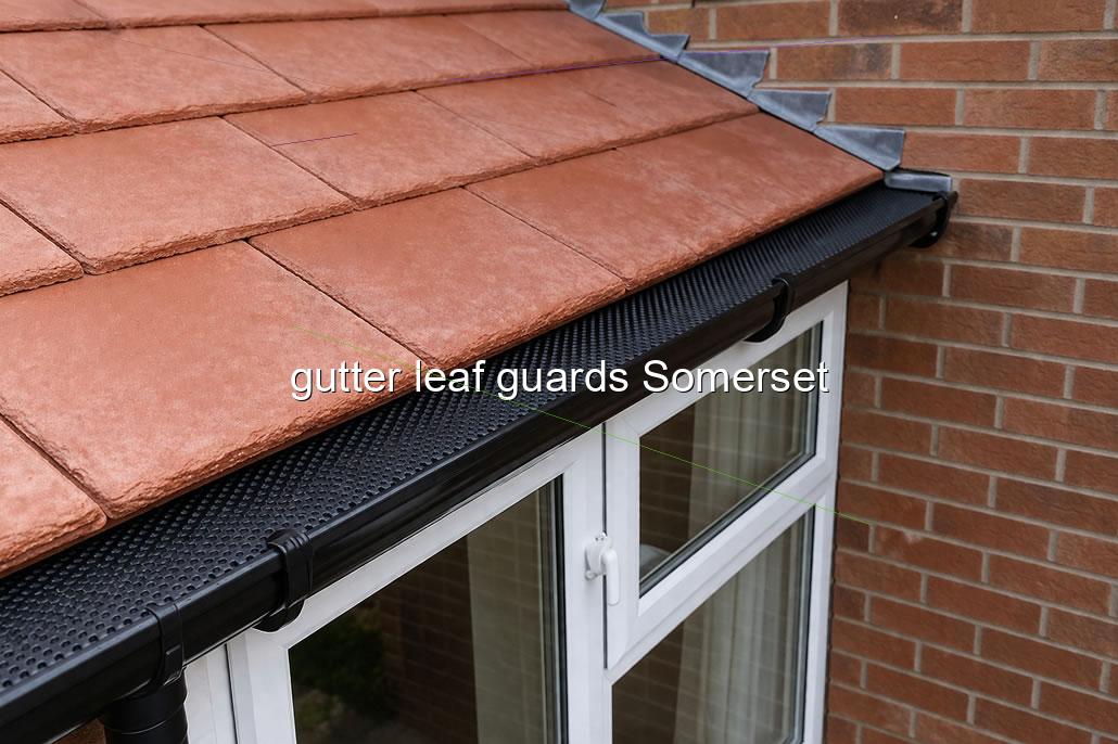 gutter leaf guards Somerset