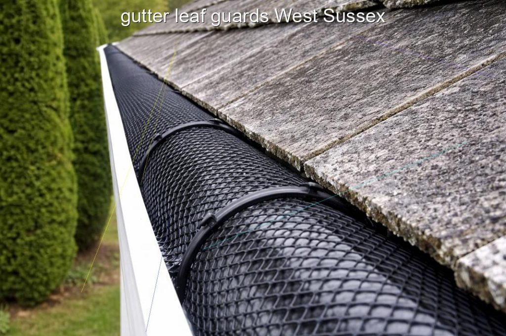 gutter leaf guards West Sussex